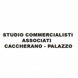 Studio Dottori Commercialisti Associati Caccherano Palazzo logo