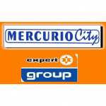 Mercurio Srl