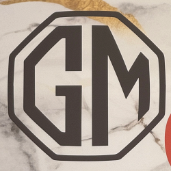 Gm S.r.l.s. logo