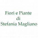 Fiori e Piante - Stefania Magliano