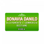 Bonavia Danilo
