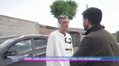 Palmi, uomo aggredito da un pitbull: "Sono vivo per miracolo"