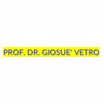Prof. Dr. Giosue' Vetro