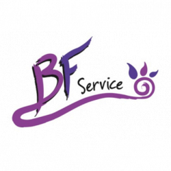 Bf Service | Autospurgo - Spurgo Pozzi - Ricerca Perdite - Videoispezioni logo