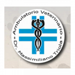 Veterinario Triola Dr. Massimiliano