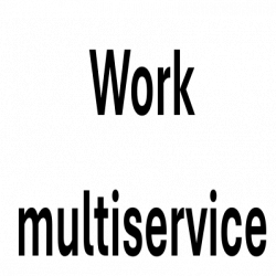 Work Multi Service logo