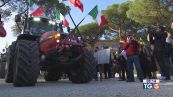 I trattori a Roma "L'Ue faccia di più"