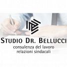Dott. Bellucci Stefano