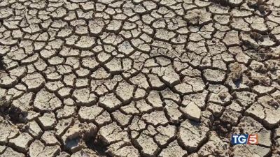 Sfruttamento e siccità Suolo sempre più povero