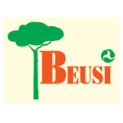 Beusi logo