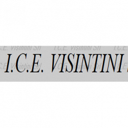 I.C.E. Visintini logo