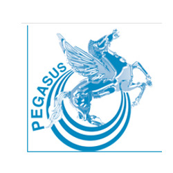Centro Medico Polispecialistico e Fisiokinesiterapico Pegasus logo