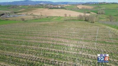 Gusto di Vino: il Sirah