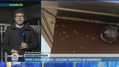 "Spari e buchi nei muri", cecchino terrorizza un condominio