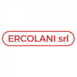 Ercolani Impianti Elettrici logo