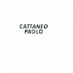 Cattaneo Paolo - Ford
