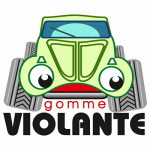 Violante Gomme - Centro SuperService