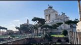 Roma, abbattuti alcuni grossi pini vicino a Colosseo e Fori Imperiali