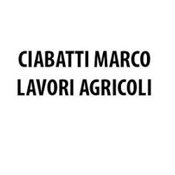 Ciabatti Marco Lavori Agricoli logo
