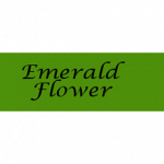 Emerald Flower - Fioreria