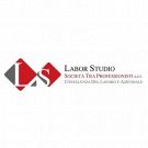 Labor Studio Stp
