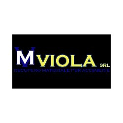 Viola logo
