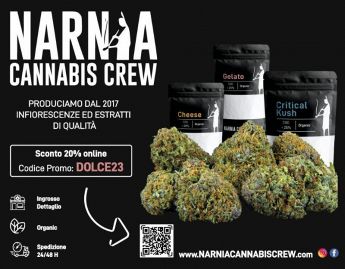 PROMO Narnia Cannabis Crew