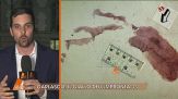 Il giallo di Garlasco: consumato intonaco impronta 33