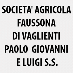 Societa' Agricola Faussona di Vaglienti Paolo  Giovanni e Luigi S.S. logo