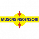 Muscas Ascensori