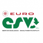 Euro Csv