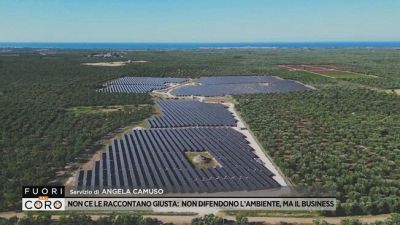 Non ce la raccontano giusta: non difendiamo l'ambiente, ma il business