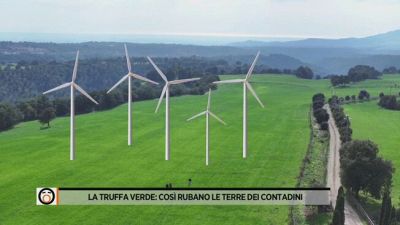 La truffa verde: così rubano le terre dei contadini