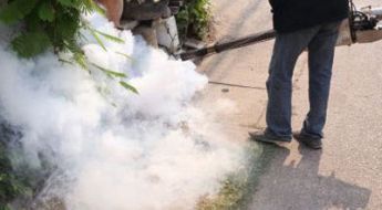 Impresa di pulizie Ilco 2000 -disinfestazioni zanzare