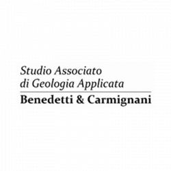 Geologo Andrea Carmignani logo