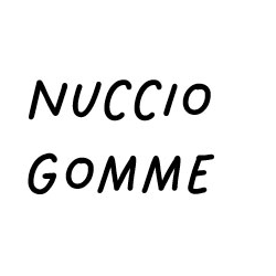 Nuccio Gomme Di Nunzio Salpietro logo