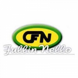 Cfn Verniciatura logo