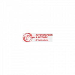 Autotrasporti e Autogru Traini logo