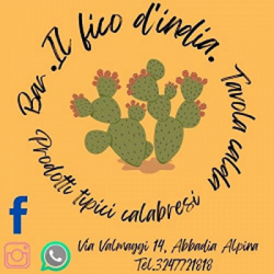 Bar Tavola Calda Il Fico D'India logo