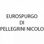 Eurospurgo di Pellegrini Nicolo'