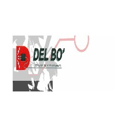 Del Bo' Ezio e Mauro Impianti Elettrici logo