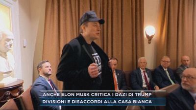 Anche Elon Musk critica i dazi di Trump