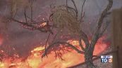 Nuovi incendi a Los Angeles