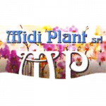 Midi Plant
