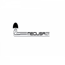 Medusa I.C.T. logo