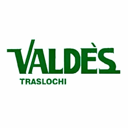 Valdès Trasporti e Traslochi srl logo