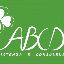 Abcd Assistenza e Consulenza logo