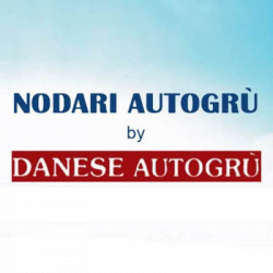 Nodari Autogru logo