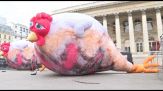 Parigi, polli gonfiabili giganti contro gli allevamenti intensivi