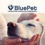 Blue Pet Srl Cremazione Animali-Forno Crematorio Pet
